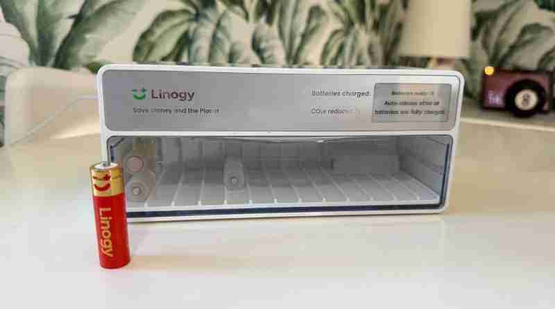 linogy