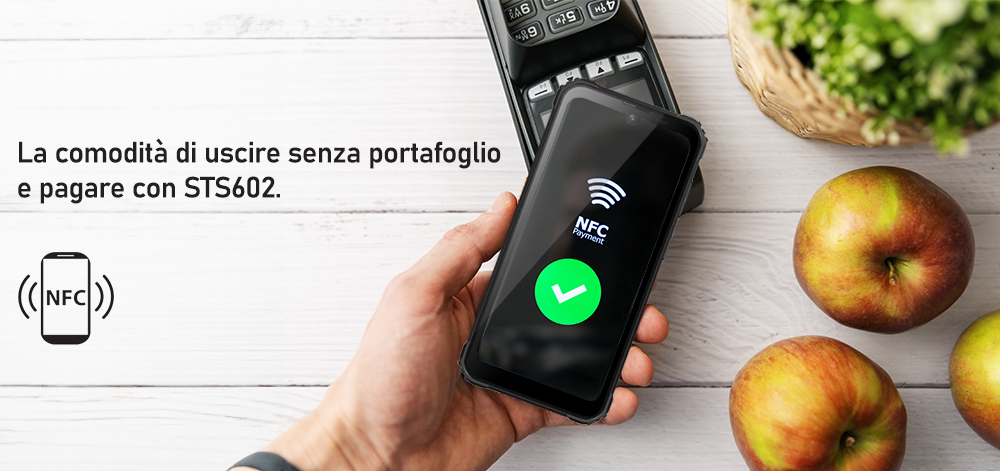 SAIET Sicuro Smart STS602 image