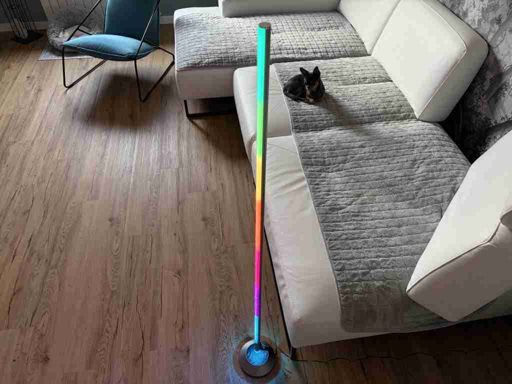 NEEWER NF01 Smart Floor Lamp img 3849
