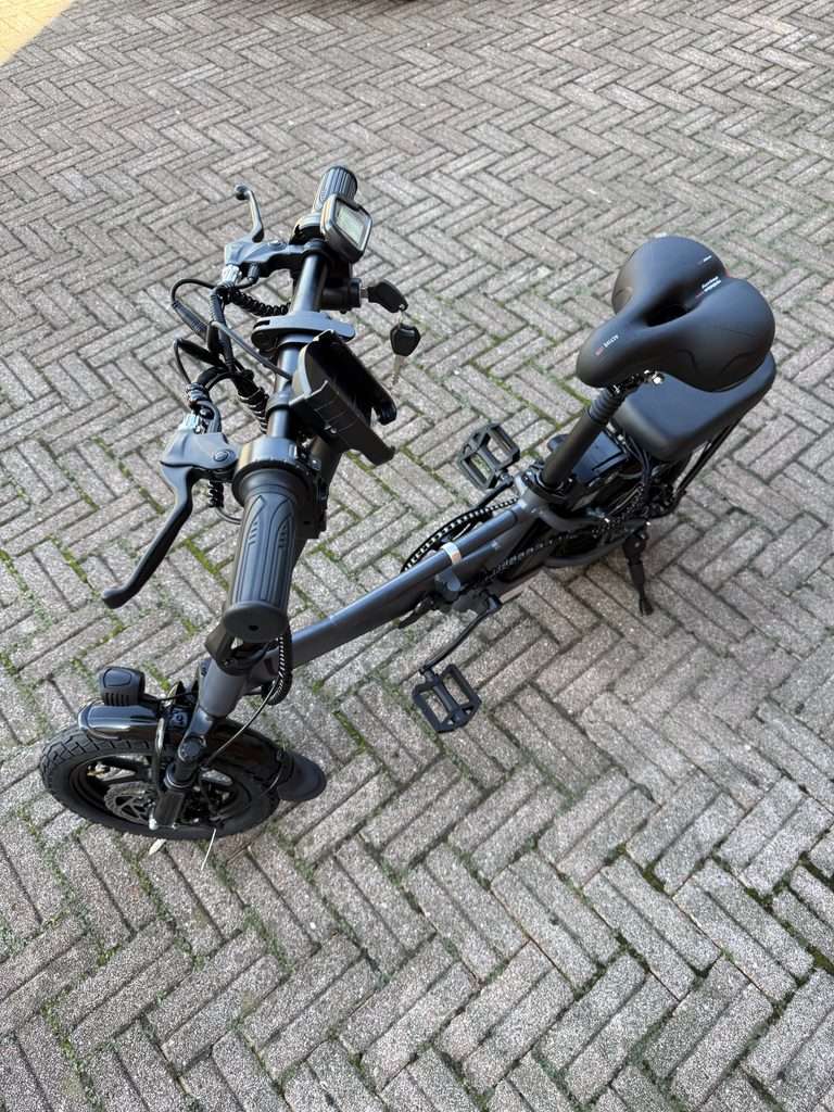 img 1048