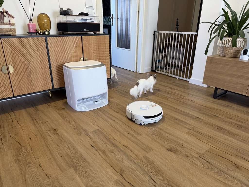 img 3624